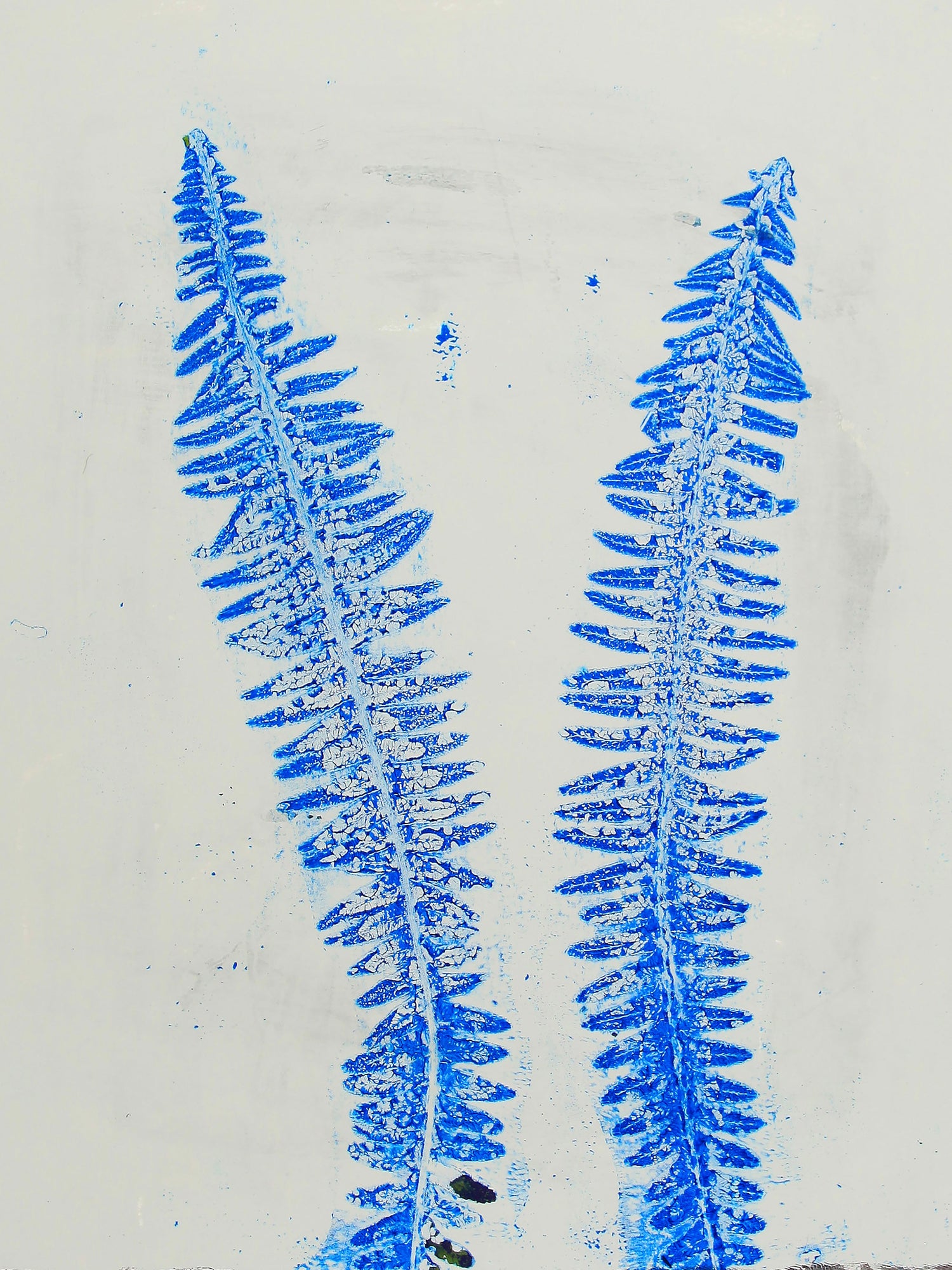 Botanical Prints